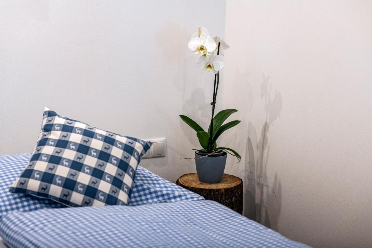 דירות טשאגונס Haus Silvretta Nova מראה חיצוני תמונה