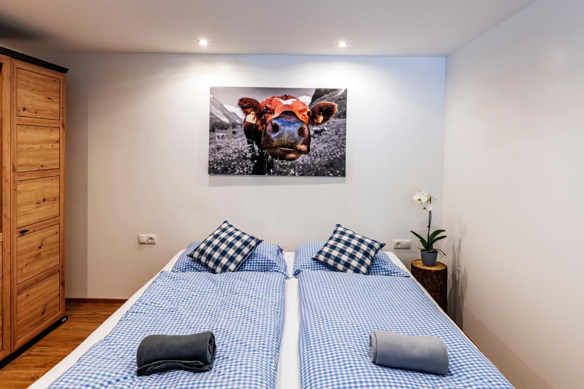 דירות טשאגונס Haus Silvretta Nova מראה חיצוני תמונה